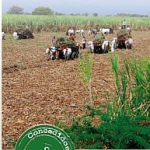 curso Cooperativismo, Desarrollo Rural y Medio Ambiente