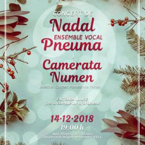 Concierto de Navidad Ensemble Vocal Pneuma y la Camerata Numen