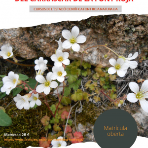 Flora y vegetación del parque natural del Carrascar de la Font Roja