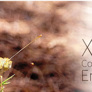 XX Congrés internacional d'Entomologia