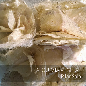 "Alquimia vegetal. Pilar Sala"