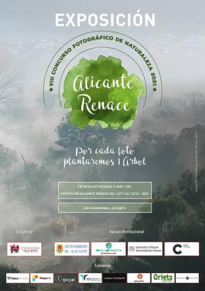 Alicante Renace