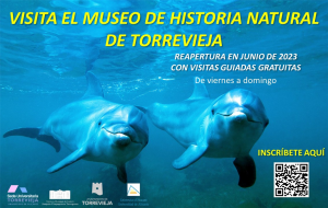 Visita al Museo de Historia Natural de Torrevieja