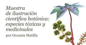 Banner de la Muestra de ilustración científica botánica: especies tóxicas y medicinales
